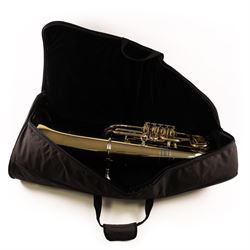 V.F Cerveny & Synove CEB 641 tuba, with Ritter carry case