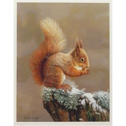 Robert E Fuller (British 1972-): 'Squirrel Nutkin', limited edition colour print signed and numbered 572/850 in pencil 34cm x 27cm; Andrew Hutchinson (British 1961-): Hedgehog, limited edition colour print signed and numbered 476/490 in pencil 22cm x 44cm (2)
