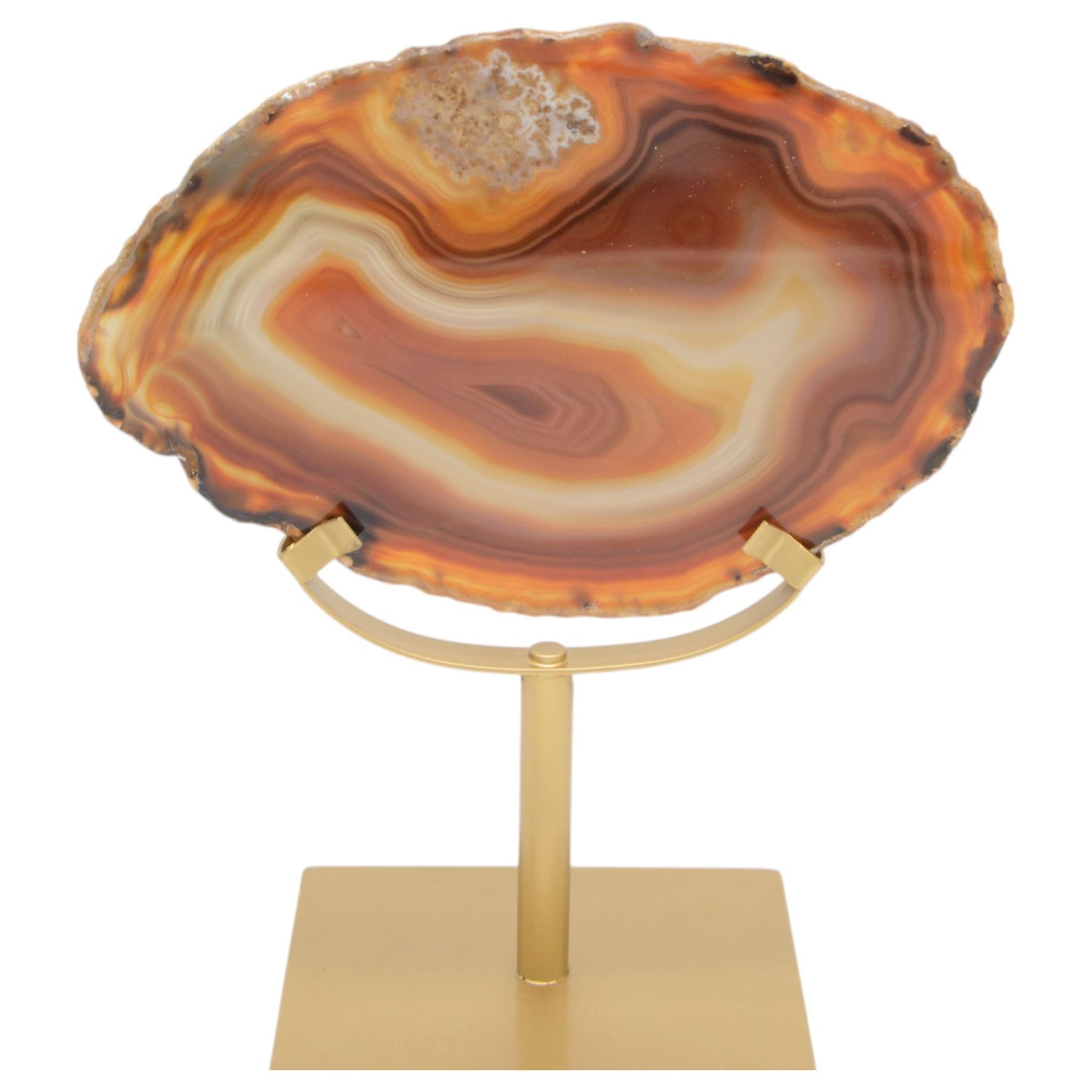 Pair of red agate slices, polished with rough edges raised upon gilt metal stands, H20cm