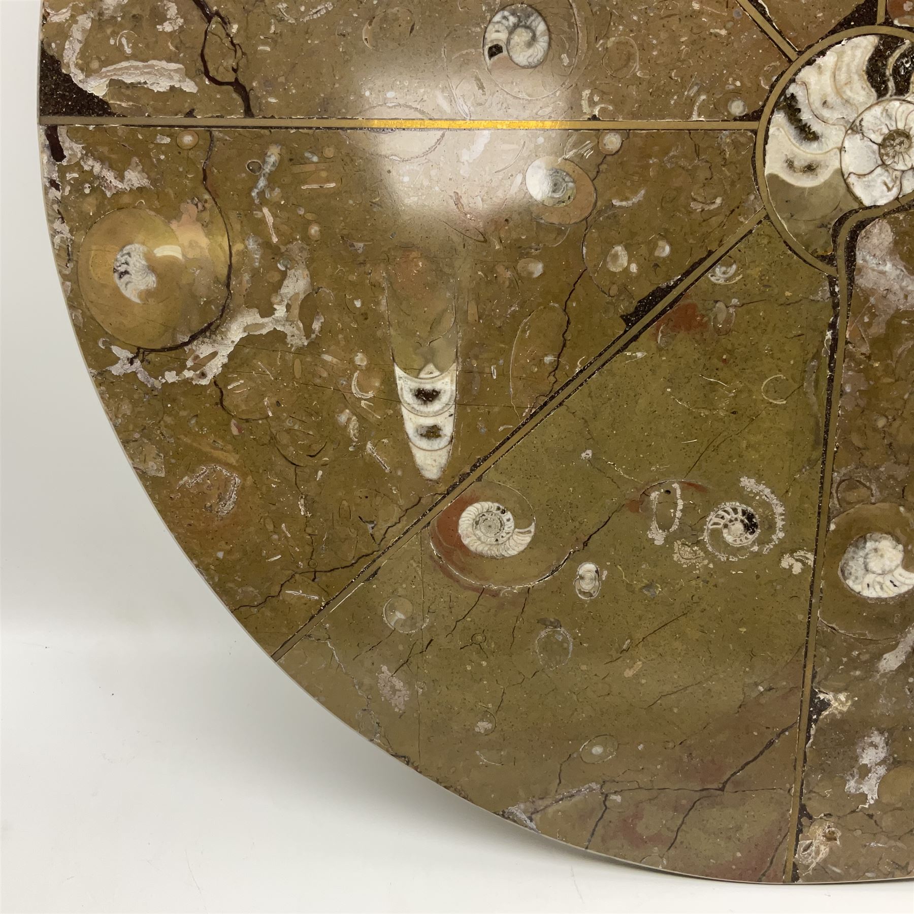 Circular limestone table top, with Orthoceras and Goniatite inclusions; age: Upper Devonian, location: Morocco, D45cm