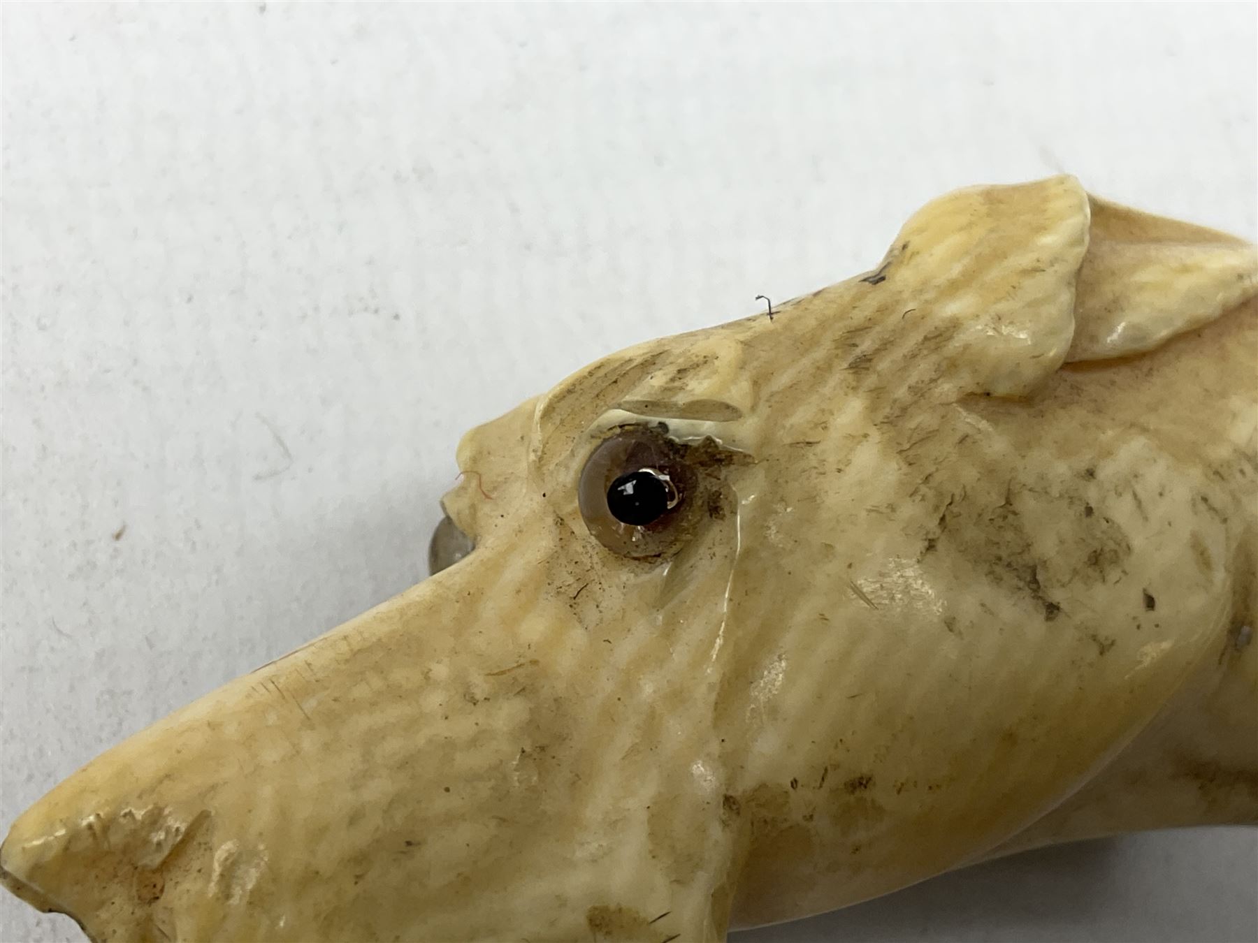 19th century carved ivory walking cane handle, modelled as the head of a greyhound with inset glass eyes, together with a further 19th century ivory example, modelled as a caricature of a gentleman's head, (2)