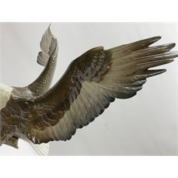 Lladro figure, Liberty Eagle, modelled as an eagle upon a branch with outstretched wings, limited edition 574/1500, no 1738, year issued 1998, year retired 1999, H40cm  