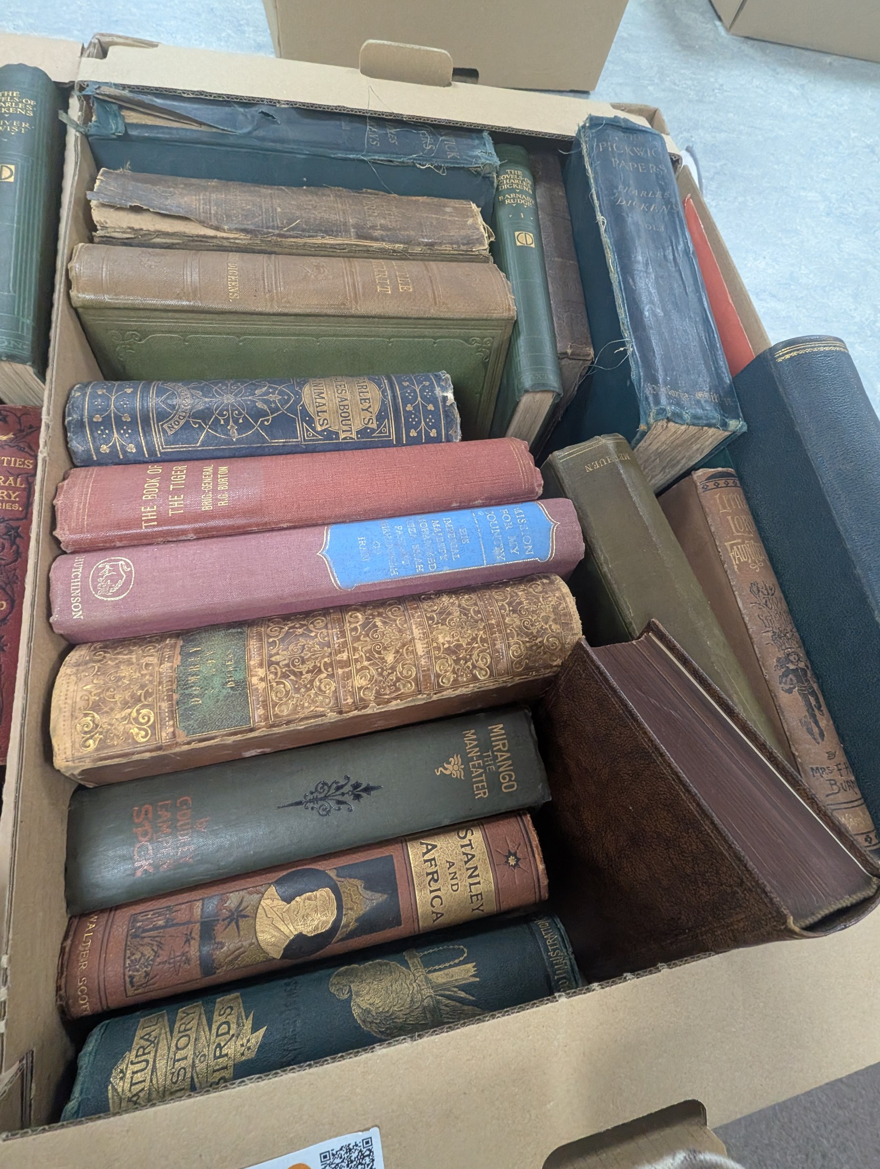 Large collection of books, including Frank Buckland - Curiosities of Natural History, Natural History of Birds, The Novels Charles Dickens, Pickwick Club, etc  