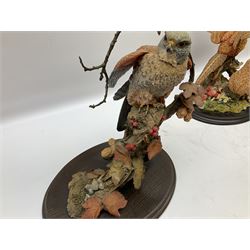 Country Artists figures, comprising of Windhover H43cm, pair of woodpeckers, H26.5cm and a pheasant and hen H26cm, together with Kowa goldcrest figure H29cm.
