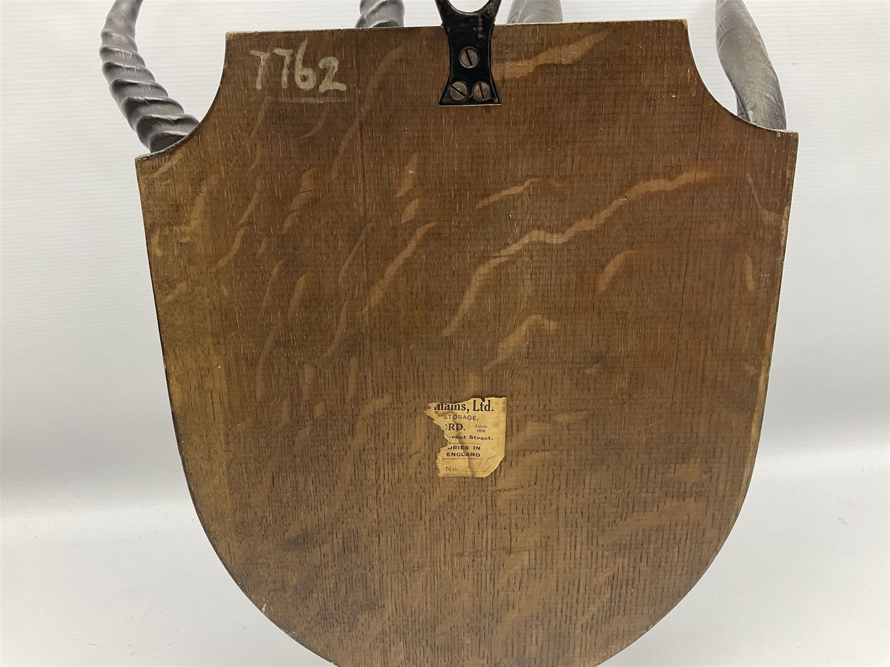 Antlers/horns; Bushbuck (Tragelaphus sylvaticus),  Duiker Buck (Sylvicapra grimmia) and Springbok (Antidorcas marsupialis), three pairs of adult antlers upon an oak shield, shield H38cm 