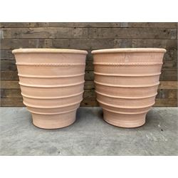Pair terracotta planters
