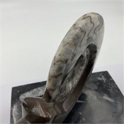 Goninite sculpture, poslised goninite, mounted upon a rectangular marble base with with orthoceras and goniatite inclusions, age: Devonian period, location: Morocco, H18cm