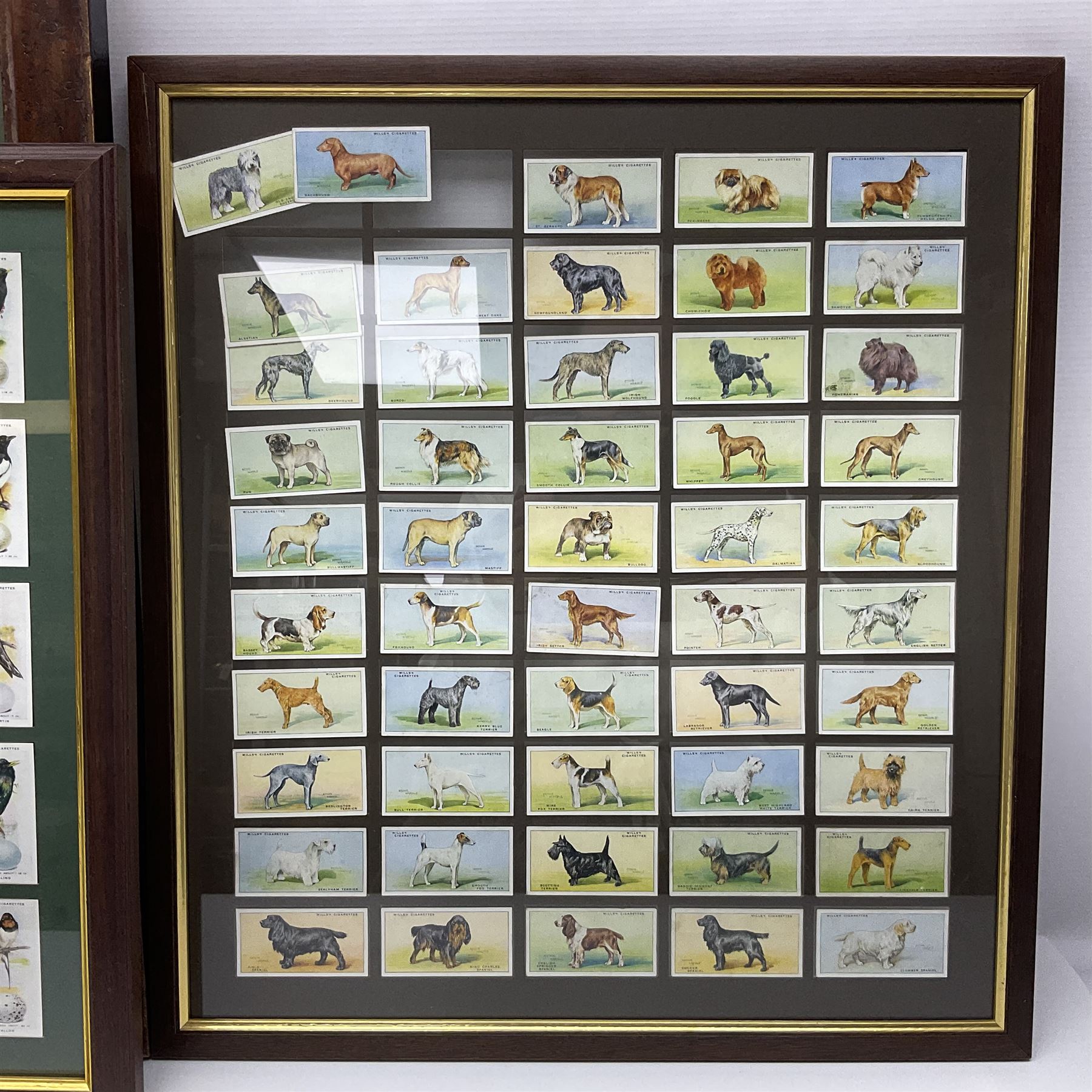 Four mounted and framed sets of cigarette cards comprising Players Game Birds & Wild Fowl; Ogdens British Birds & Their Eggs; Wills Dogs; and reproduction Players Peter Scott's Wildfowl; various frames (4)
