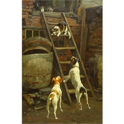  Alfred Went (British fl.1885-1905): Jack Russell Terriers and Cats up the Ladder, oil on canvas signed 52cm x 34cm  
