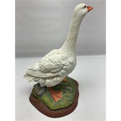 Border Fine Arts Birds by Russell Willis, Goose A0125