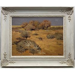 Manuel de Gracia (Spanish 1937-2017): Arid Landscape, oil on canvas signed 45cm x 60cm