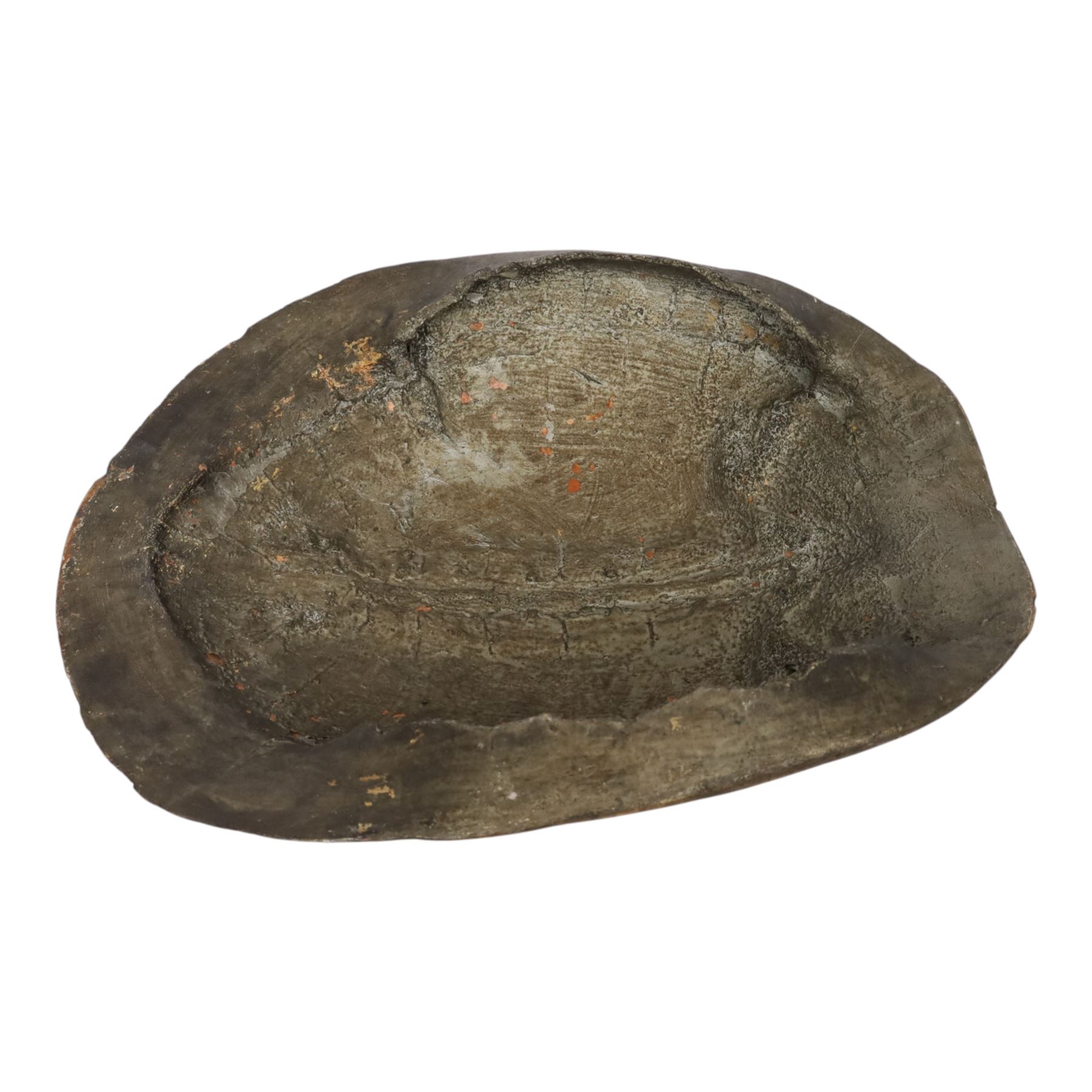 Natural History: Giant South American River Turtle Blonde Shell (Podocnemis expansa), circa 1900, L54cm, W40cm CITES Annex B, Appendix II; Not for sale to buyers outside the UK