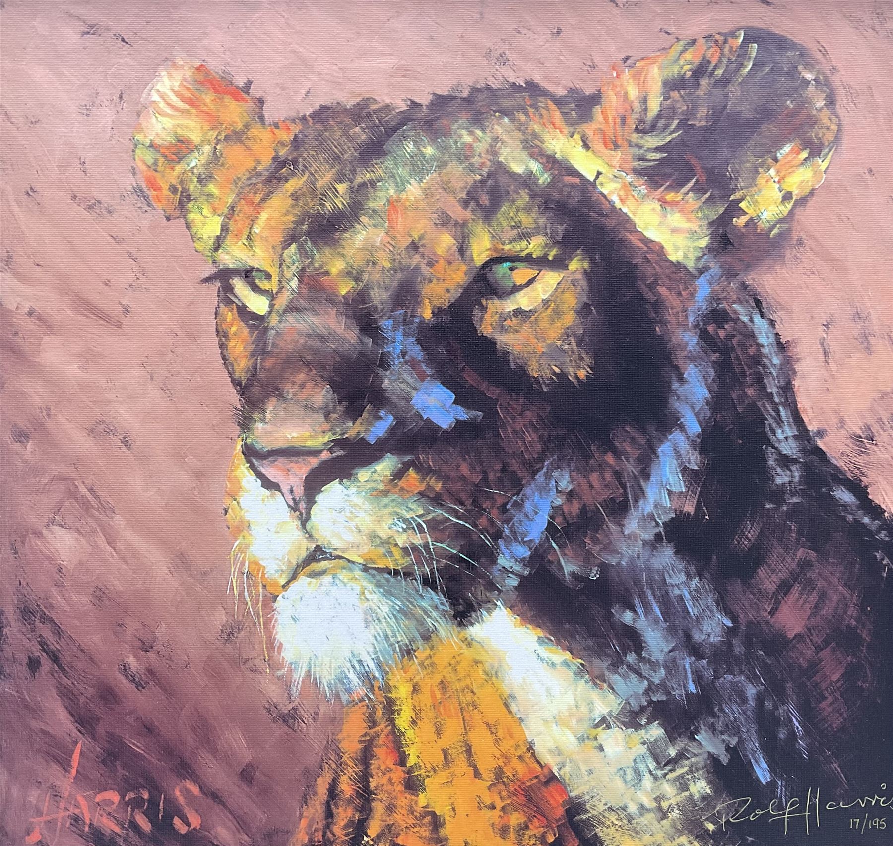 Rolf Harris (Australian 1930-): 'Lioness', limited edition colour print on canvas signed and nu,mbered 17/195 in pen 43cm x 45cm
