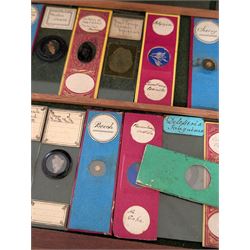 Victorian collector's specimen cabinet, containing a number of prepared microscope slides including miniature photographs, animal and human pathological, physiological and histological specimens and botanical specimens, mostly annotated in ink, the cabinet with glazed door, the drawers with bone handles and lined with green felt, owned by Dr Arthur Bristow, together with a picture of the doctor, cabinet H43cm