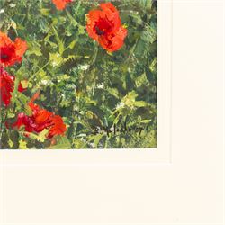 Bruce Mulcahy (West Yorkshire 1955-): Field of Poppies, gouache signed and dated '07, 19.5cm x 25.5cm