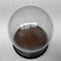 Small glass dome upon a circular wooden base, H20cm