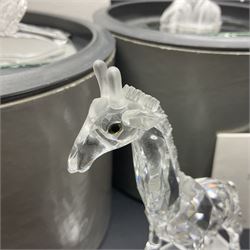 Five Swarovski Crystal figures, comprising giraffe, deer, hummingbird, rose and rearing horse, all with original boxes 