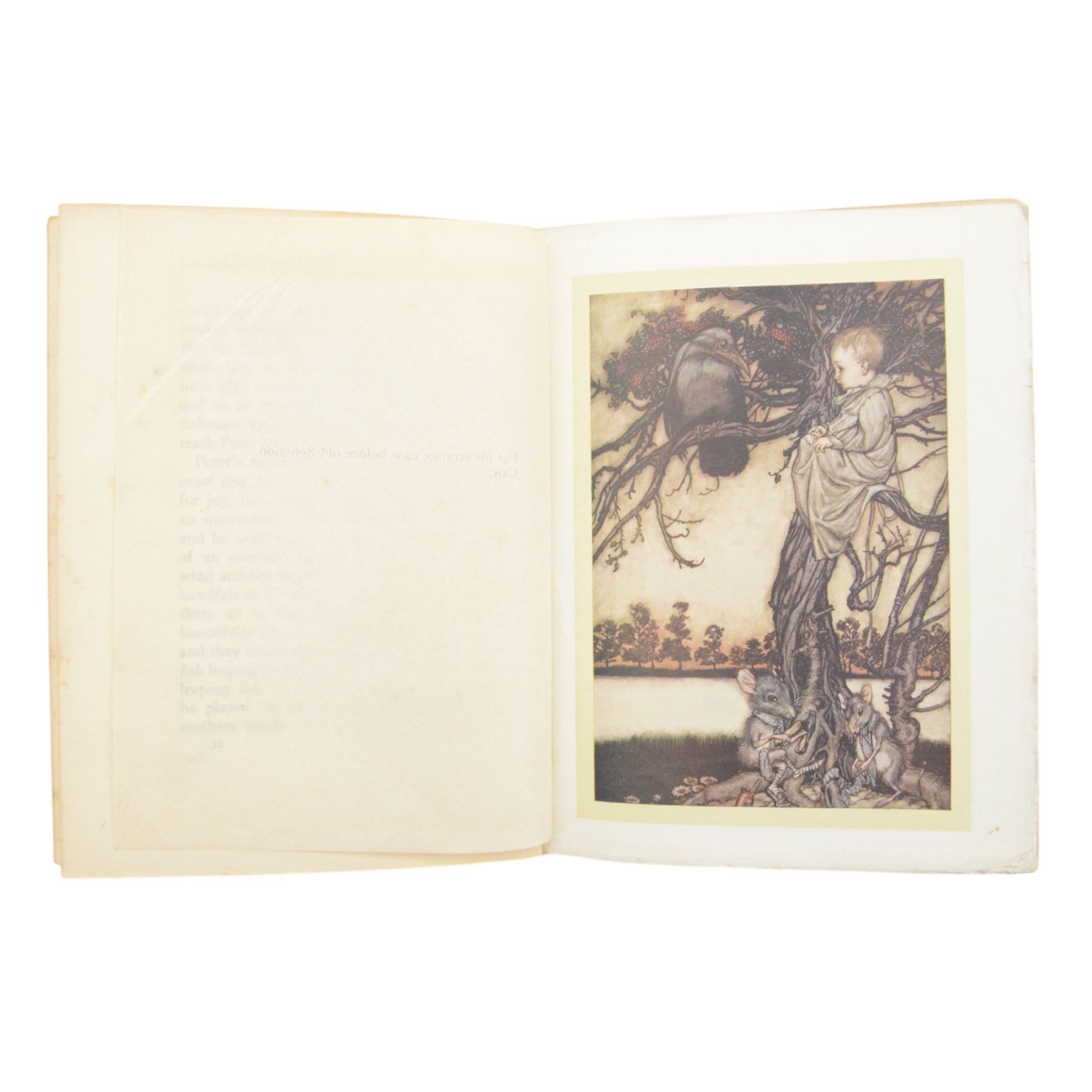 Barrie, J.M; 'Peter Pan in Kensington Gardens', first edition, pub. Hodder & Stoughton, London, with illustrations by Arthur Rackham, in red cloth with gilt vignette and lettering to spine