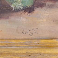 Neil Tyler (British 1945-): 'Brass Pan and Cabbage', oil on canvas signed, titled verso 40cm x 50cm 