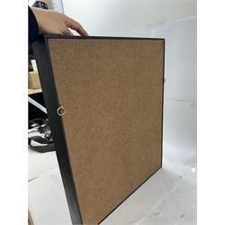 Entomology: Single glazed display of butterflies, circa 20th century, single glazed display containing seven various specimens, including green-banded swallowtail, and amauris crawshayi, pinned upon foam backing, enclosed within a glazed ebonised display case the backdrop painted with blossoming branches , H49cm, L39cm