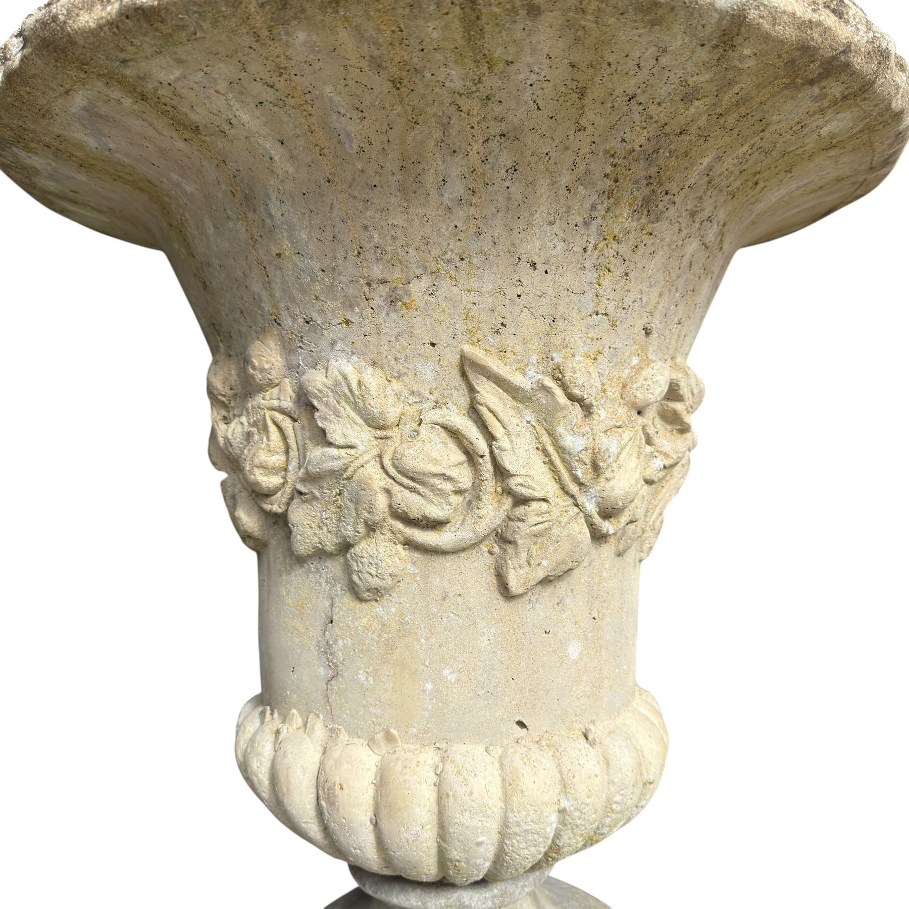 Pair of weathered composite stone campana urns on pedestals, the flared egg-and-dart rim over a tapering body with fruiting grapevine decoration in relief, over gadrooned underbelly, the rectangular pedestals moulded with floral garlands, planted