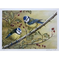 Rober E Fuller (British 1972-): Blue Tits,  Limited Edition Signed Print.

Robert E Fuller is one of Britain’s foremost wildlife artists. He paints in acrylics and oils, favouring a highly-detailed realistic style. His original paintings are painted from photographs taken in situ.
