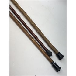 Three walking canes, to include example with brass handle modelled as the head of a hound, and another with horn handle. 