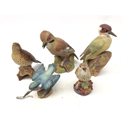  Royal Worcester matt glazed birds comprising Kingfisher, Thrush, Woodpecker and Jay and a Beswick Song Thrush no. 2308 (5)  