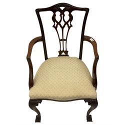 Chippendale design mahogany framed armchair, ball and claw feet, upholstered seat