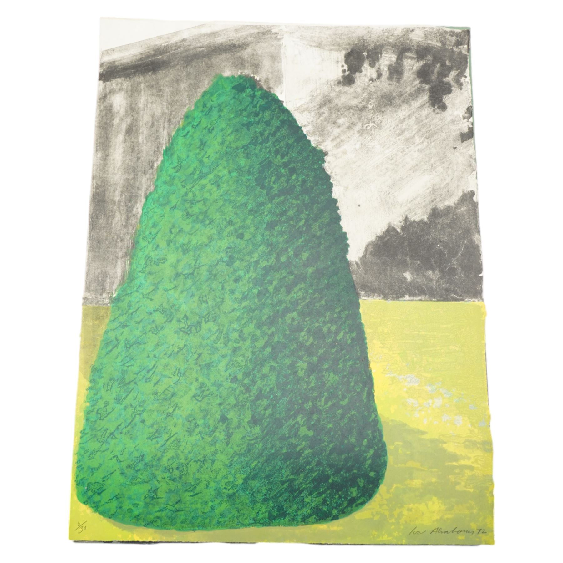 Ivor Abrahams (British 1935-2015): 'Suburban Shrubs I & II', pair lithographs signed dated '72 and numbered AP and 6/30 in pencil 83cm x 62cm (2) (unframed)