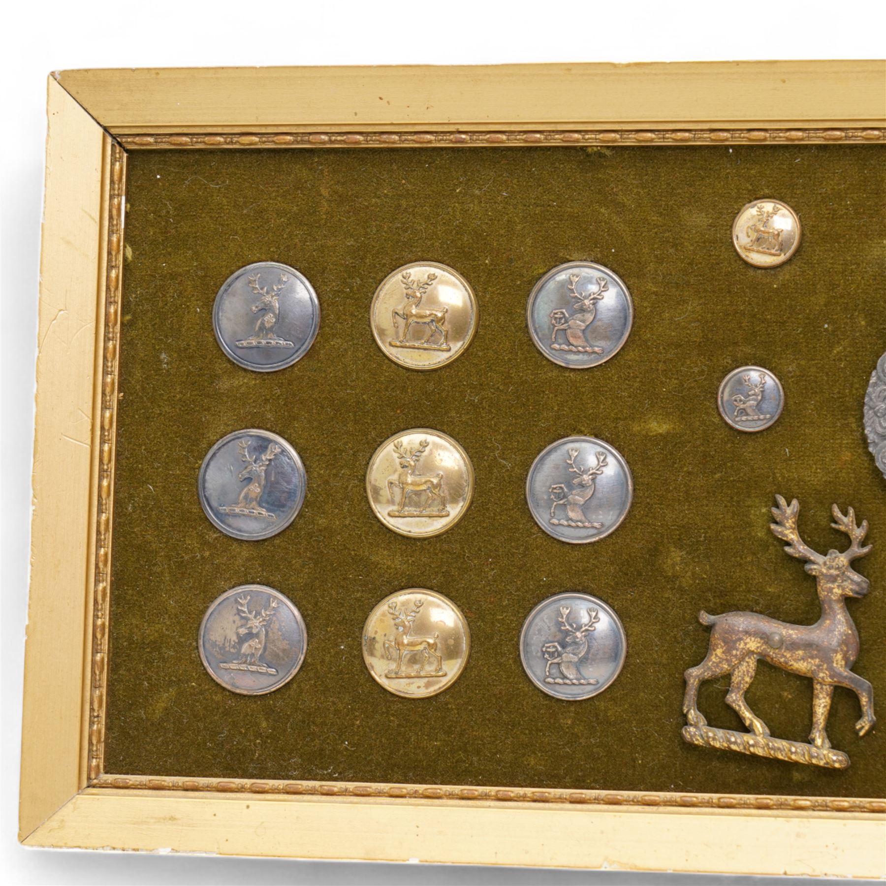 Collection of twenty two 19th century livery buttons with stag motif, badge with stag and St George design and two gilt stag  badges, framed 18cm x 44cm 
