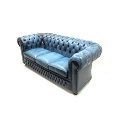Chesterfield three seat sofa, upholstered in a deep buttoned blue studded leather