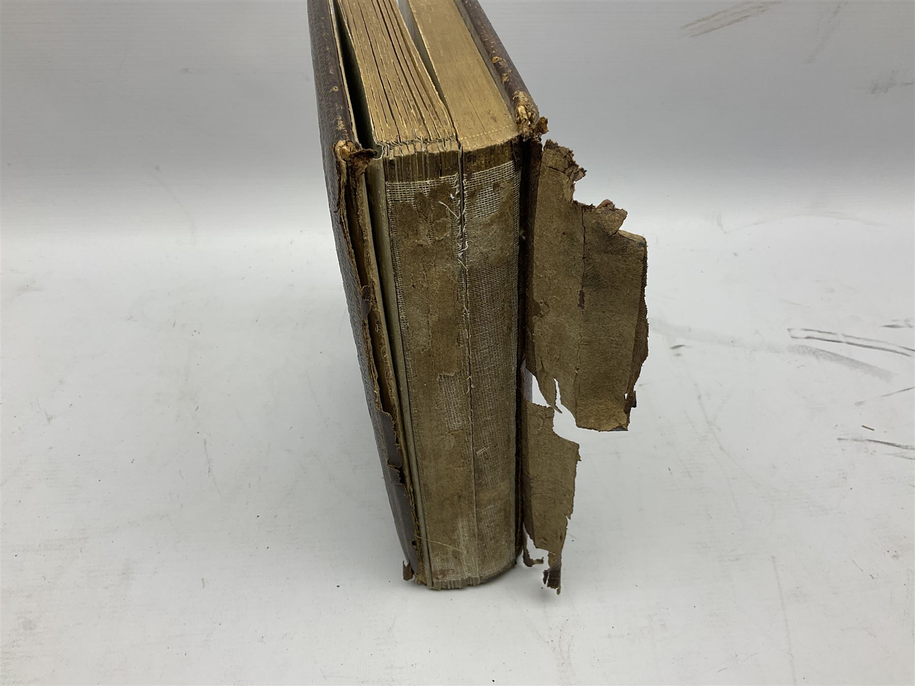 Victorian leather bound musical photo album, together with another victorian photo album, with photographs 