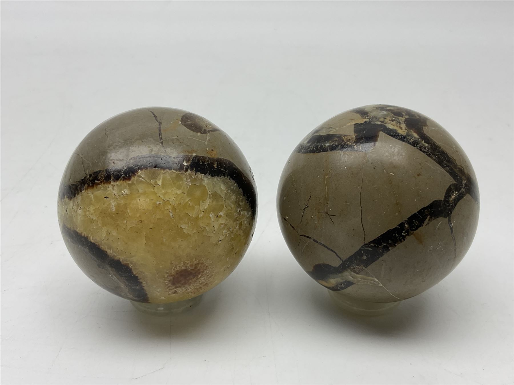 Pair of septarian spheres, polished, with a calcite centre and argonite/siderite lines within limestone rock, D6cm