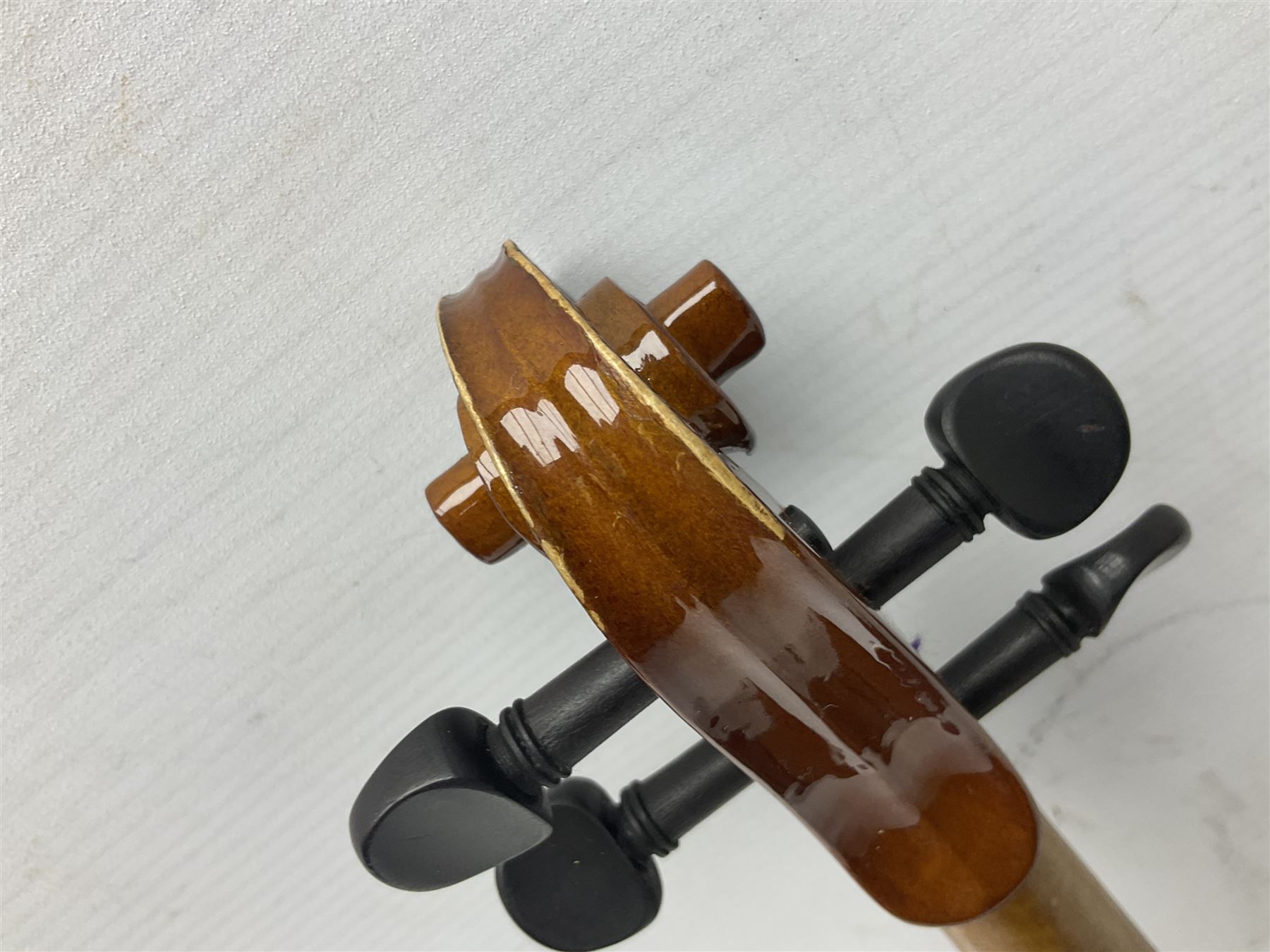 Three Stentor Student violins - three-quarter size with 33cm two-piece back; and two quarter size each with 28cm two-piece back; each in carrying case with bow (3)