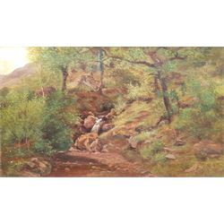 Peter Buchanan (British exh.1880-1911): 'A Little Stream at Gellilydan' Snowdonia,  oil on canvas signed, titled verso 30cm x 50cm  