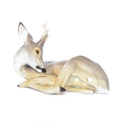 Nymphenburg, recumbent roebuck, model no. 423, with impressed mark beneath, H14cm