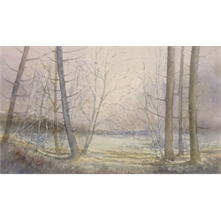  Woodland and River Scenes, two watercolours signed by Christine M Pybus (one unframed) and Flowers on a Balcony, watercolour signed by Robert Brindley (British 1949) max 19cm x 32cm (3)   