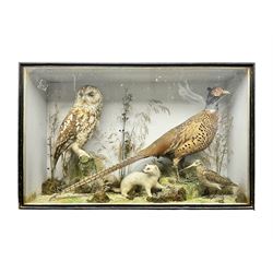 Taxidermy: Victorian mixed diorama, by by J.E. Massey, Taxidermist, Finkle Street, Malton, comprising, Tawny owl (Strix Aluco), Ring-Necked Pheasant (Phasianus colchicus), Stoat (Mustela erminea), and Snipe (Gallinago Gallinago), amidst a natural setting, encased with an ebonised single-glass display case, H50cm, L80cm, D22cm