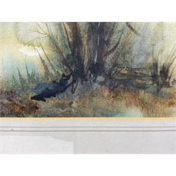 John Whitmore Howey (British 1946-): Lake District Landscapes, pair watercolours signed, dated 1979 verso 22cm x 27cm (2) 
Notes: John is the son of fellow artist Robert Leslie Howey (1900-1981), and grandson of Staithes Group member John William Howey (1873-1938).