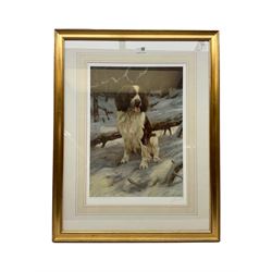 After John Trickett (British 1953-): Portrait of a Spaniel, colour print signed in pencil together with five other prints one housed in ornate gilt frame max 35cm x 49cm (6)