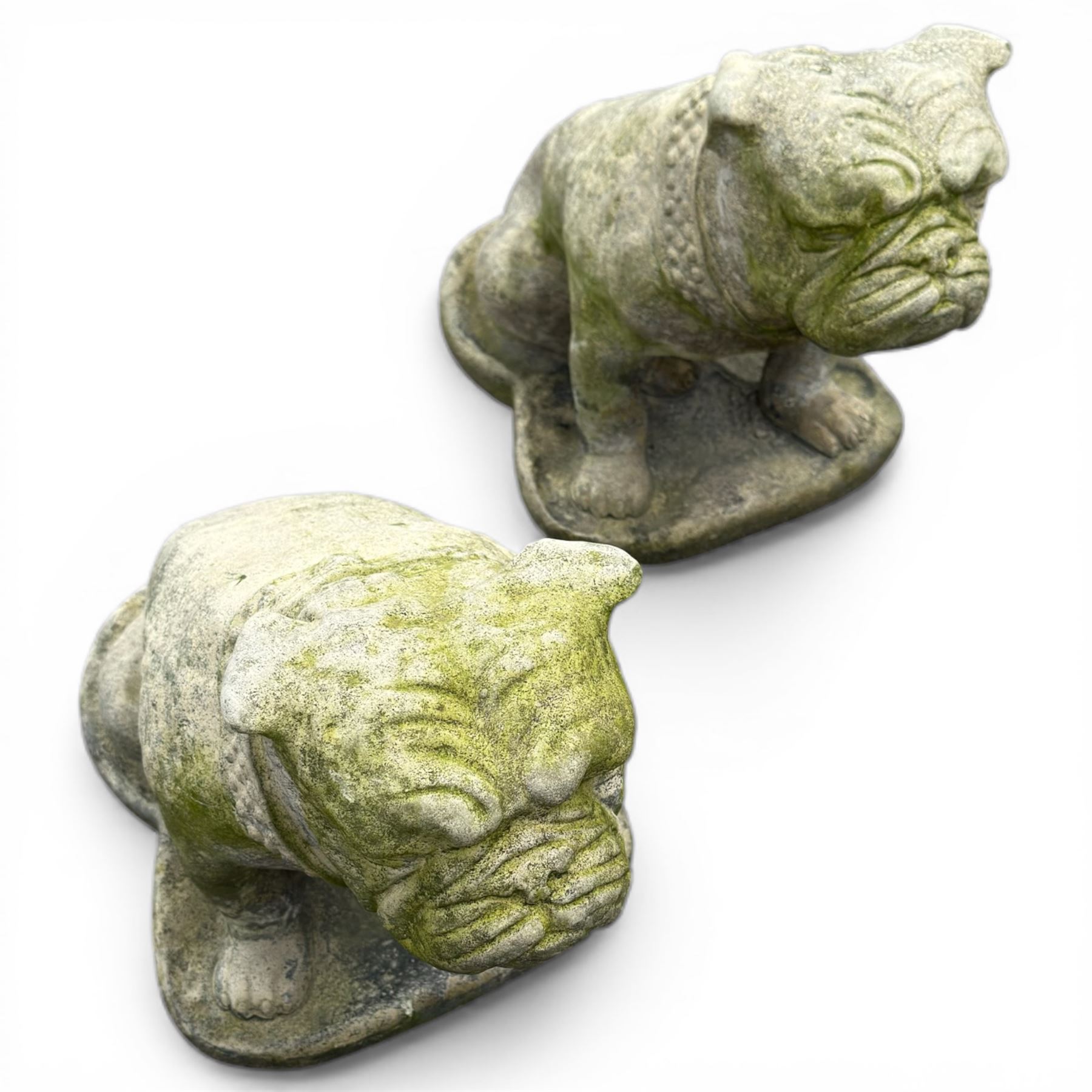 Pair of cast stone garden British bulldogs, on shaped plinths