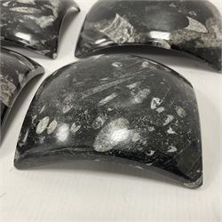 Set of four square dishes in two sizes, each with orthoceras and goniatite inclusions, age: Devonian period, location: Morocco, large dish D16cm