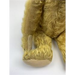 Early 20th century German teddy bear c1920, probably Steiff or Bing, with wood wool filled humped back golden mohair body, swivel jointed head with glass eyes and brown vertically stitched nose and mouth, jointed limbs with elongated arms and felt paw pads with black stitched claws H18