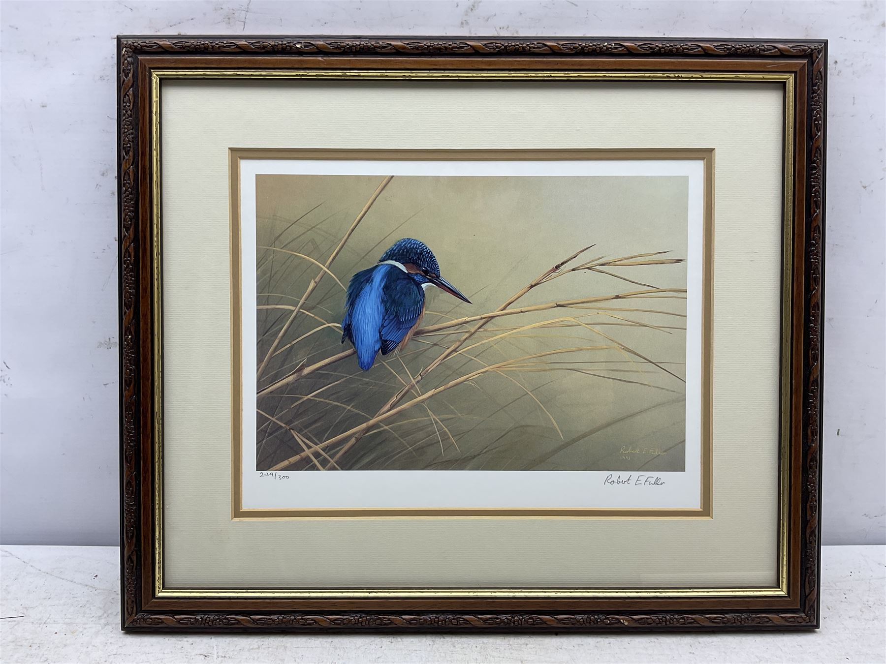 Robert E Fuller (British 1972-): 'Kingfisher on Reeds', limited edition colour print signed and numbered 249/300, 24cm x 32cm
