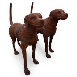 Pair of life-size heavy cast iron garden Hunting dogs