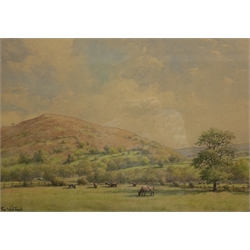  Tom Whitehead (British 1886-1959): Cattle Grazing in a Rural Landscape, watercolour signed 34.5cm x 49.5cm  