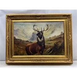 Scottish School (20th century): Monarch of the Glen, oil on canvas indistinctly signed J Doy in impressive gilt frame 59cm x 88cm