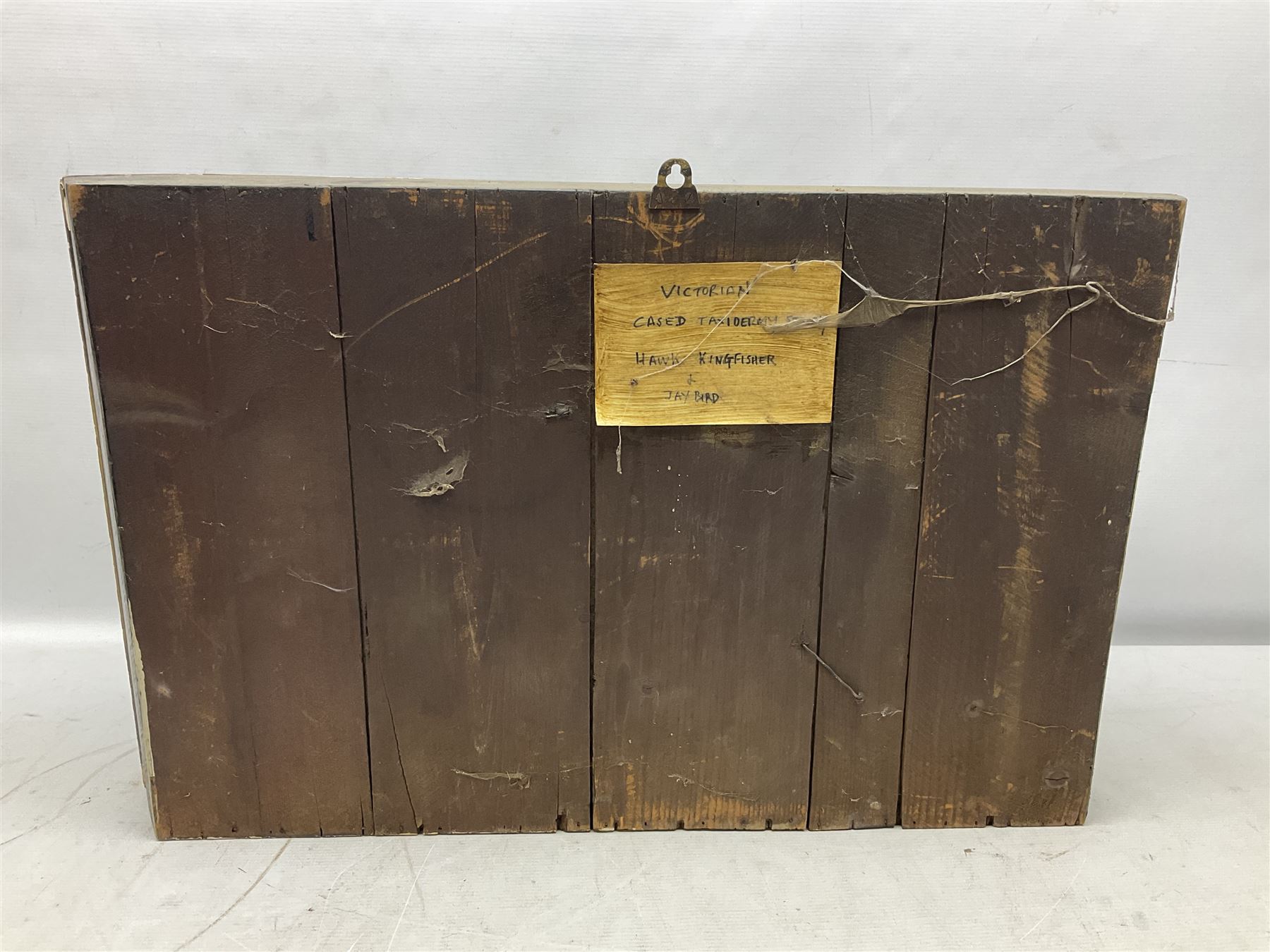 Taxidermy; Victorian cased bird diorama,  pair of Kingfishers (Alcedo Athis) adult mounts and Kestrel (Falco tinnunculus) adult mount, in a naturalistic setting with one kingfisher in flight, encased within a three pane display case, H45cm, L72cm