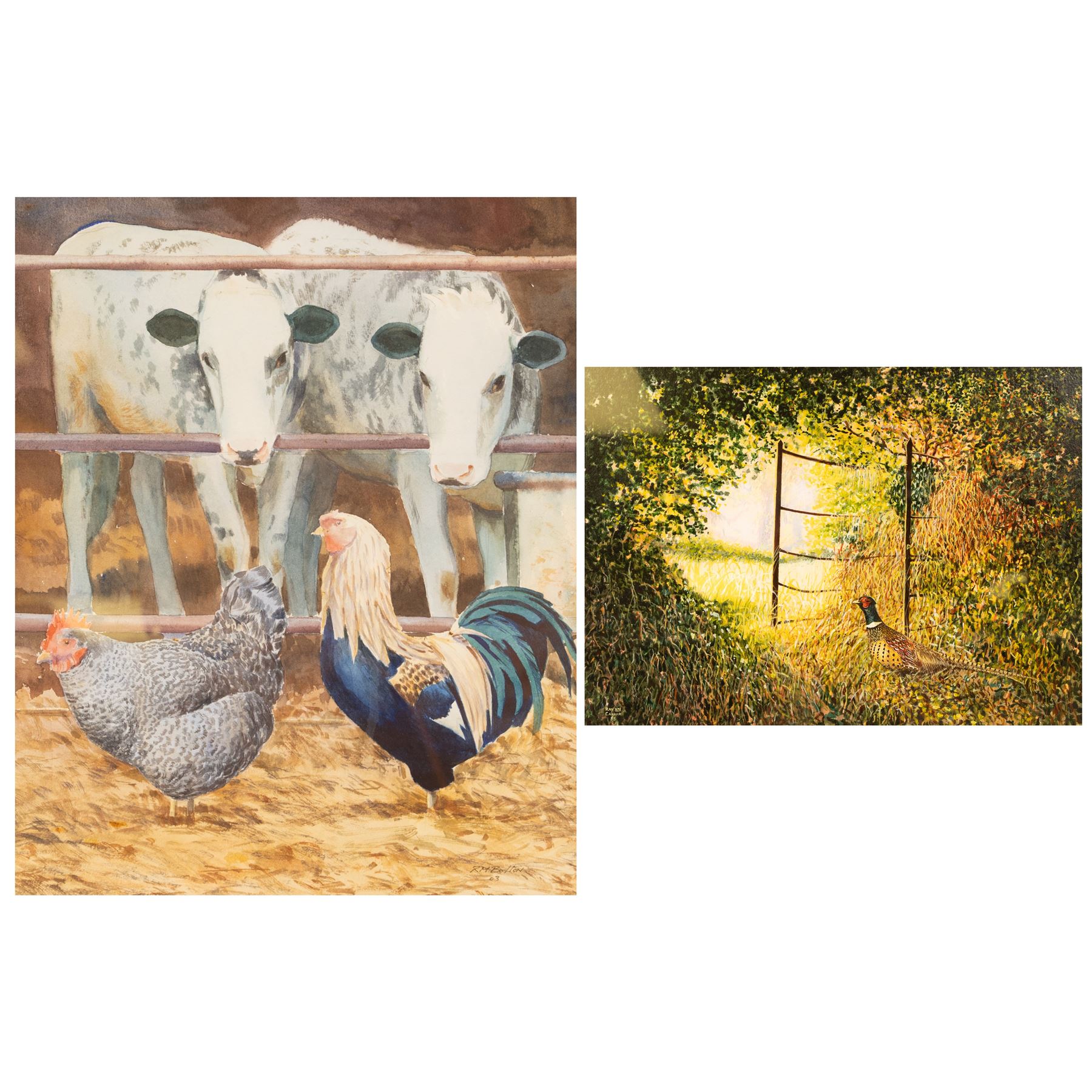 Richard Bolton (British 1950-): Chickens and Cows, watercolour signed and dated '03, 30cm x 24cm; Ray Canham (British 20th Century): 'The Forgotten Gate', gouache signed and dated '85, titled on the mount 27cm x 37cm (2)